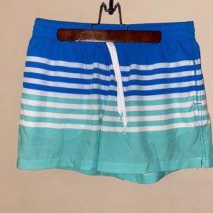 Striped Swim Shorts - 4” Chubbies